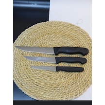 Çok Renkli