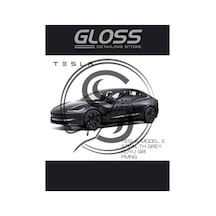 Tesla Model 3 Stealth Grey Koyu Gri Pmng Profesyonel Rötuş Boyası 30ml, Model3-pmng
