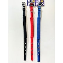 Wonderfullpet Köpek Boyun Tasması 1.5x39 CM Çok Renkli