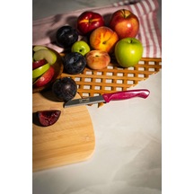 Solingen Simli Deliksiz Meyve Bıçağı Fuşya Saplı, 18,5 Cm, Paslanmaz Alman Çeliği Tekli -236 Pembe