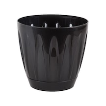 Serinova Papatya Tabaklı Saksı 6 Lt