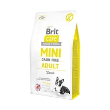 Mini Adult Kuzulu Küçük Irk Tahılsız Yetişkin Köpek Maması 2 Kg