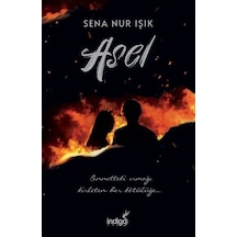 Asel N11.208