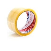 Vege Koli Bandı Şeffaf  45X40