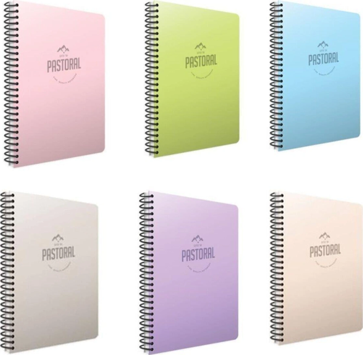 Pastoral Spiralli A4 60 Yaprak Pp Kapak Defter Seti Kareli 6'lı