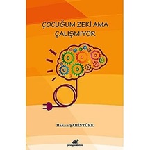 Çocuğum Zeki Ama Çalışmıyor