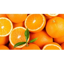 4 Yaş Orri Mandalina Fidanı