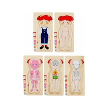 Woody Katmanlı İnsan Vücudu Giydirme Oyunu Ahşap Puzzle Yapboz