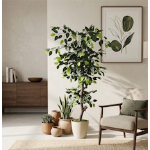 Soft Natura Ficus Benjamin Ağacı 140 Cm Bej Saksıda Doğal Görünümlü Dekoratif Yapay Ağaç