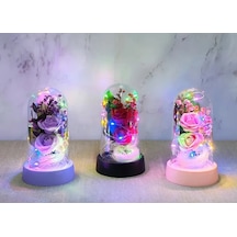 Magicool Işıklı Müzikli Romantik Fanus Tekli Gül