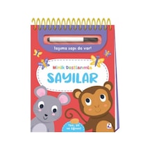 Minik Dostlarımla Sayılar Yaz, Sil Ve Öğren - Kyut-759487