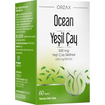 Green Tea 500mg Yeşil Çay Eki 60 Kapsül
