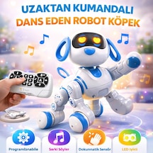 Akıllı Programlanabilir Uzaktan Kumandalı Dans Eden Robot Köpek Led Işıklı, Müzikli, İnteraktif Oyuncak