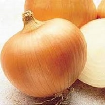 70+ Tatlı İspanyol Sarı Soğan Tohumu N115045