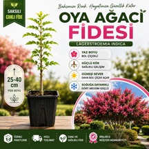 1 Adet