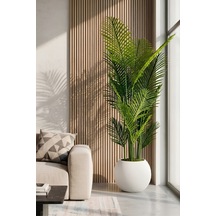 Areka Yapay Ağaç 180 Cm Küre Saksı Beyaz