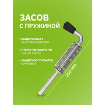 Zinc Kapılı Yaylı Kapı Sürgüsü 250 Mm 434290908