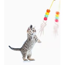 Elastik Kendinden Yapışkanlı Solucan Kedi Oltası 2