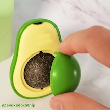 Mad Yalama Taşı Avokado 2 Adet