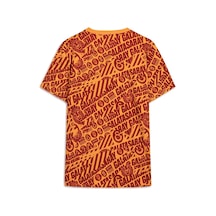 Galatasaray Lisanslı Puma Culture T-shirt Aslan Ahşap Kutulu 78291706 Kırmızı