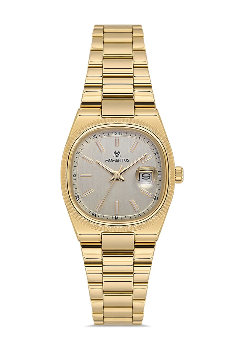 Momentus Cs262g-08sg Gold