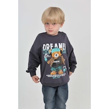 Toontoy Kids Toontoy Erkek Çocuk Dreamer Ayı Baskılı Sweatshirt Füme