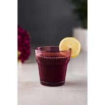 Akrilik Mürdüm Tekli Kısa Bardak & Su Meşrubat Kahve Yanı Bardağı 300 Ml Cam Değildir Çok Renkli