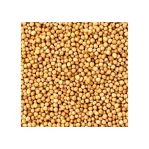 Sarı Hardal Tohumu Sinapis Alba 100 Gram - 938183483
