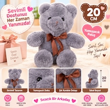 Bezos 4769 Peluş Ayı Kurdelalı 20 Cm 4r Bzoshb Çok Renkli