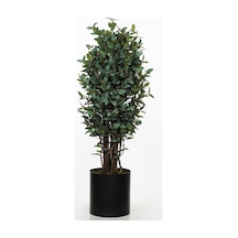 Bery Green 160 Cm Metal Saksılı Ak.znd029