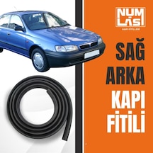 Toyota Corona 1992-1999 Sağ Arka Kapı Fitili-a Kalite-numlas-nm5580
