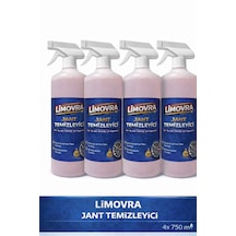 Jant Temizleyici 4'lü