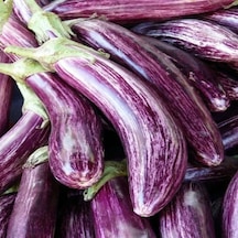 Long Variegated Patlıcan Tohumu 15 Tohum 1 Paket