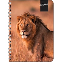 Keskin Color Süha Derbent Çizgili Defter 17x24 Cm 120 Yaprak 326811-99