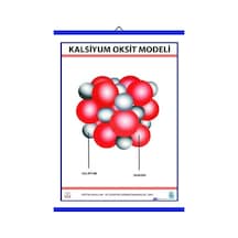 Kalsiyum Oksit Cao Modeli Levhası 70X100 Cm