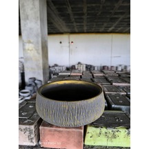 Beton Orkide Bonsai Ve Aranjman Saksısı
