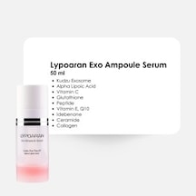 Theraderm Lypoaran Ampoule Serum 50 Ml