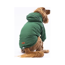 Pawstar Yeşil Pluvia Kedi Köpek Mont Kedi Köpek Kıyafeti