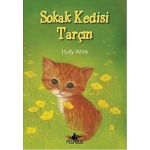 Sokak Kedisi Tarçın - Holly Webb - Pegasus