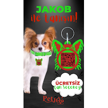 Petjoo 8.Jakob Kırmızı-Yeşil Qr'lı Köpek Künyesi