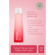 Estee Lauder Nutritious Radiant Essence Gözenek Sıkılaştırıcı Yağ Kontrolü Sağlayan Bakım Losyonu 200 ML