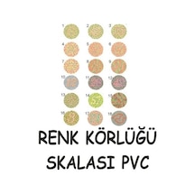 Renk Körlüğü Skalası
