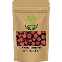 Ardıç Juniperus Communis Tohumu Kırmızı 40 Gr
