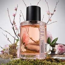 Harman Fragrances W1162 Kadın Parfüm EDP 50 ML