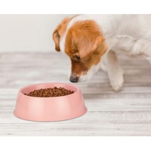Büro Ev Evcil Hayvanı İçin Mini Oval Kedi Köpek Mama Kabı