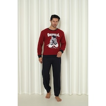 Bordo