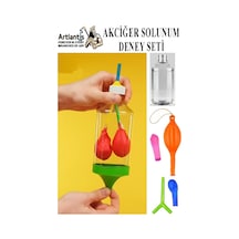 Akciğer Solunum Deney Seti 1 Adet Kutulu Plastik Şişe Y Borusu Balon Tıpa Akciger Model Yapımı Deney Fen