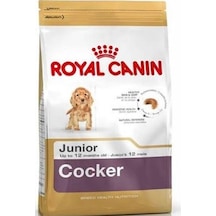 Royal Canin Cocker Puppy Irka Özel Yavru Köpek Maması 3 KG