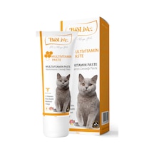 Biolive Kediler İçin Multivitamin Paste 100 G