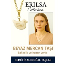 Çok Renkli